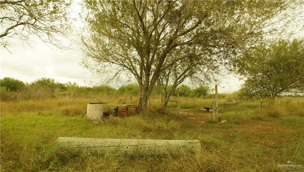29833 Fernando East Road Rio Hondo, TX 78583 - Photo 7 of 15 a view of an outdoor space