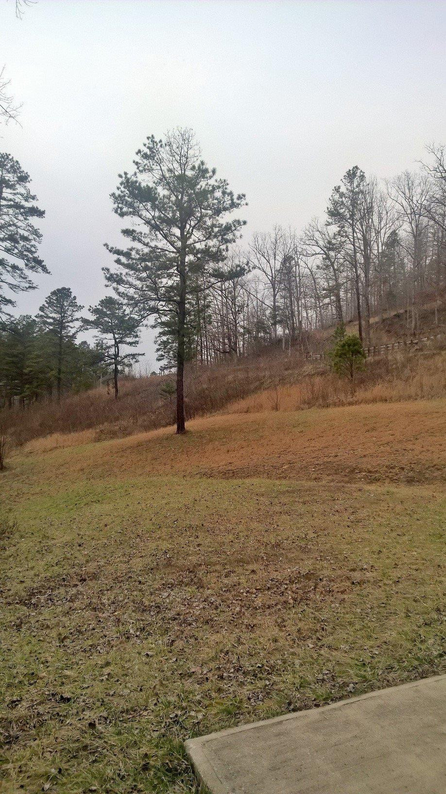 1456 Foxtown Road McKee, KY 40447 - Photo 16 of 19 Photo 17