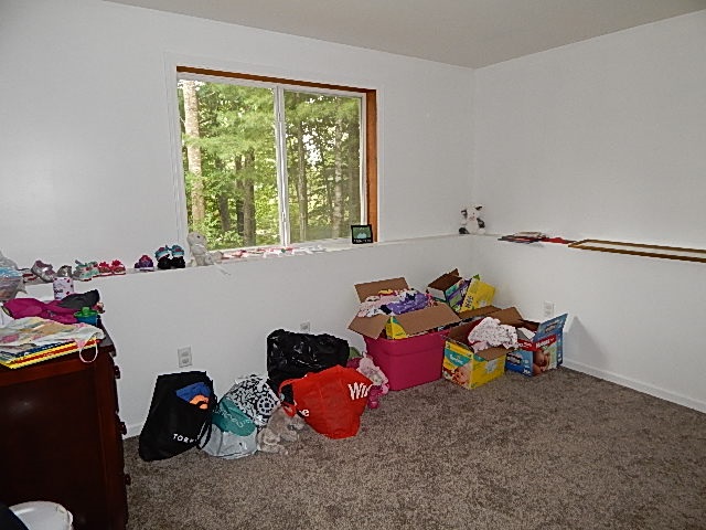 3868 Ingersoll Road Southwest Fife Lake, MI 49633 - Photo 15 of 17 1837923-18.JPG