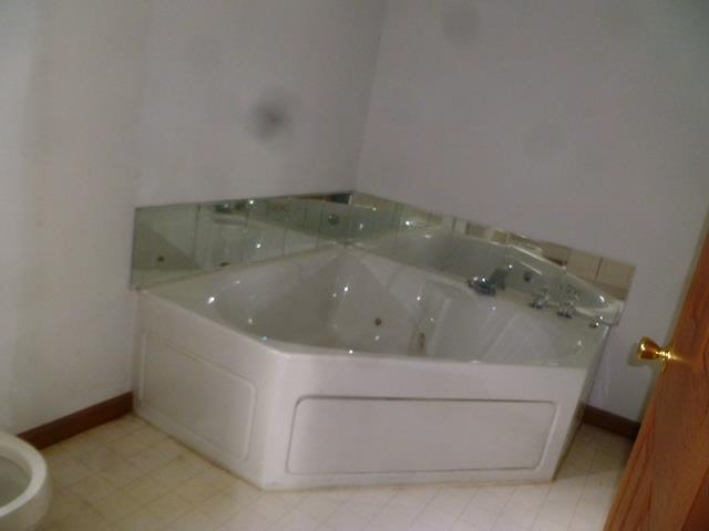 14690 Goutz Road Monroe, MI 48161 - Photo 8 of 20 Master bath