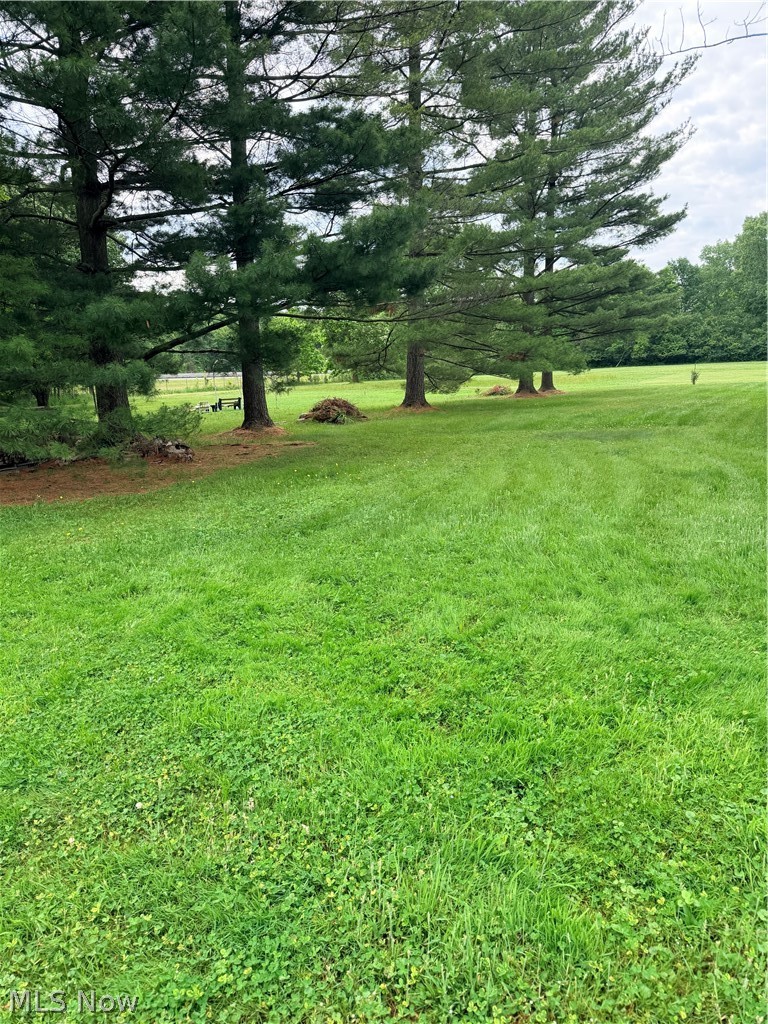 15381 Howe Road Strongsville, OH 44136 - Photo 12 of 50 yard outside of fence