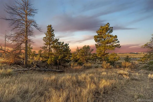$17,500,000 | 13500 Pine Drive, Parker, CO 80138