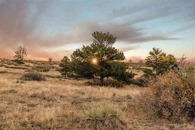 $17,500,000 | 13500 Pine Drive, Parker, CO 80138