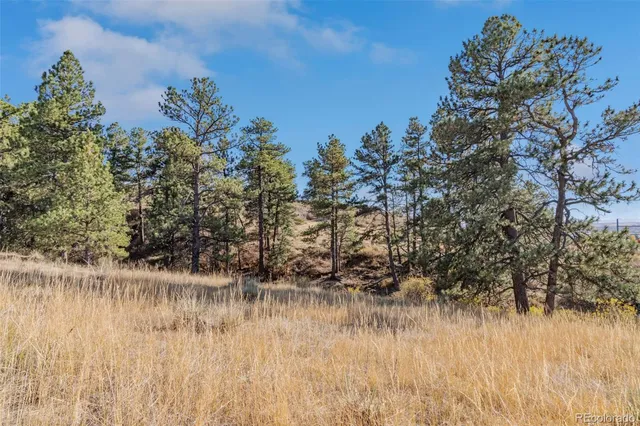 $17,500,000 | 13500 Pine Drive, Parker, CO 80138