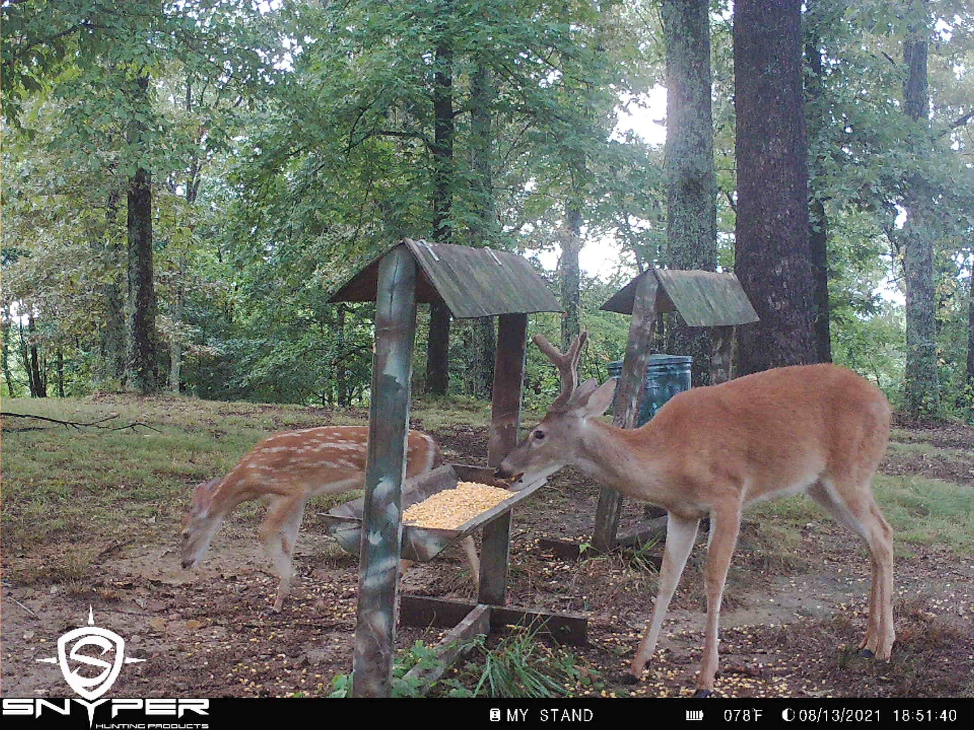 391 Parker Road Portland, TN 37148 - Photo 26 of 29 Gallery Image 26