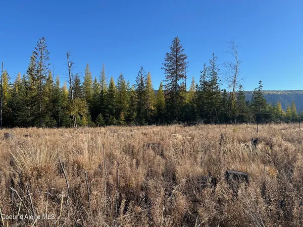 $368,000 | 2222a Bonners Ferry, Bonners Ferry, ID 83805