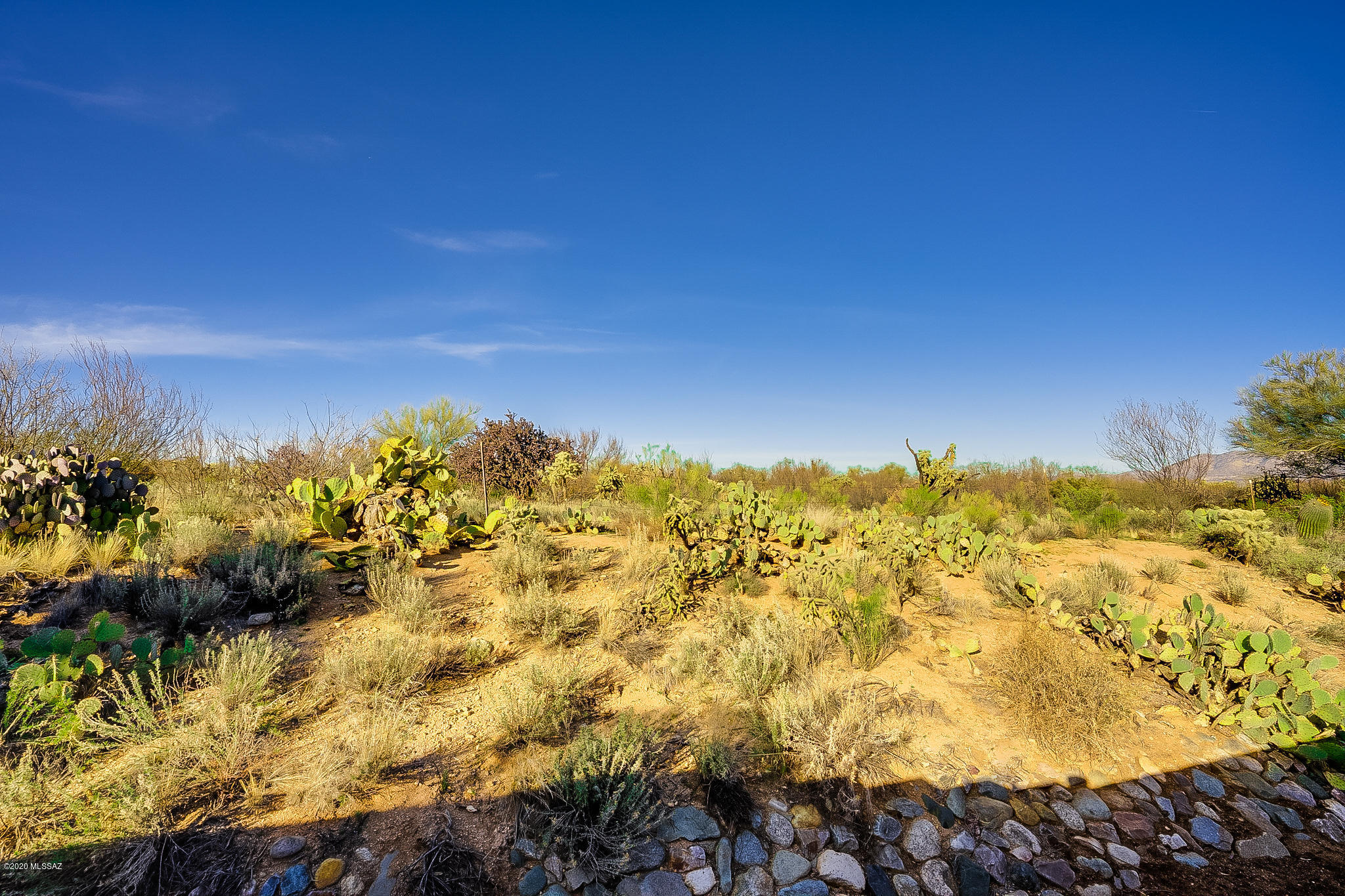 1717 East Crown Ridge Way Oro Valley, AZ 85755 - Photo 20 of 22