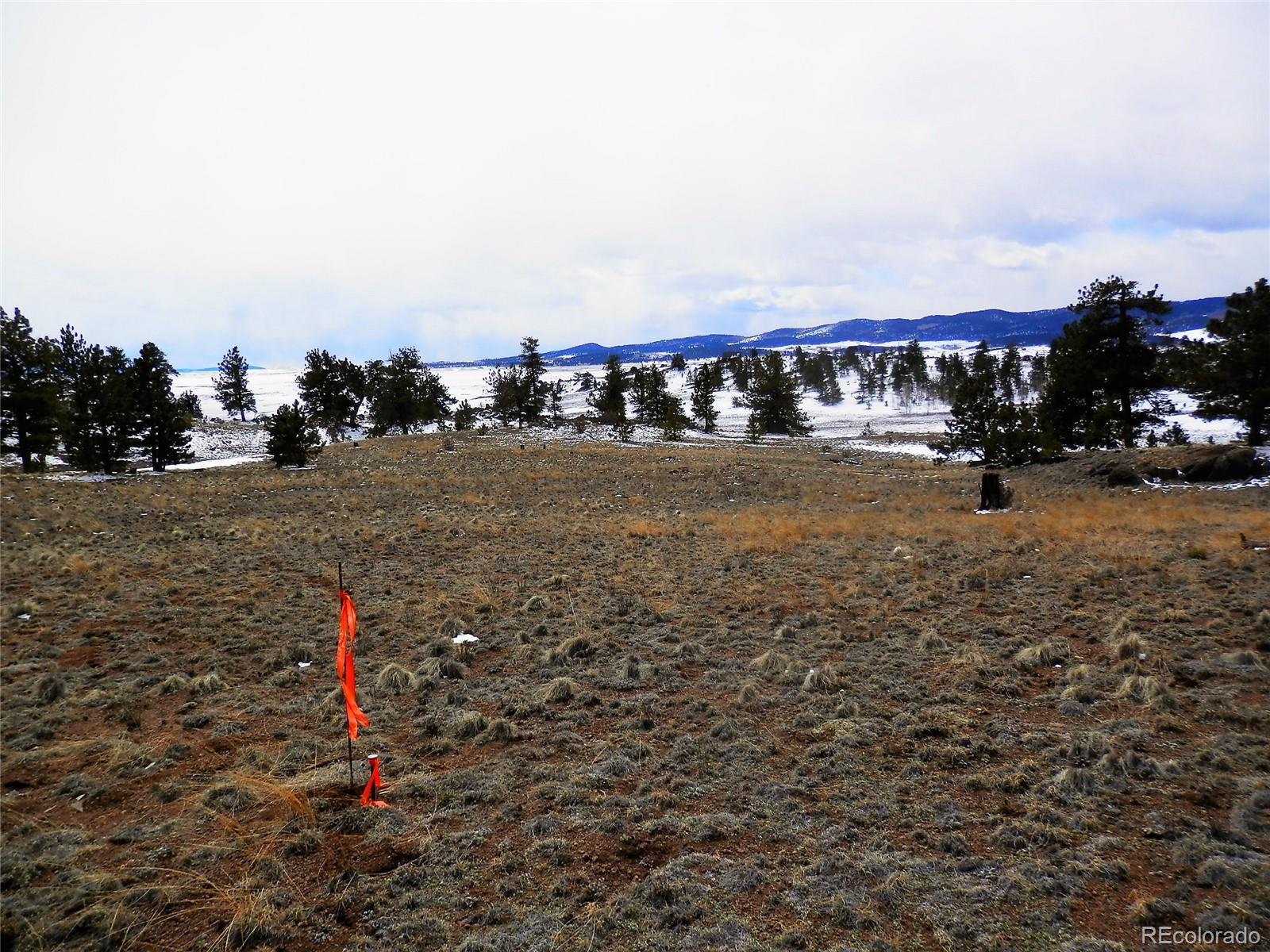 930 Pack Saddle Road Hartsel, CO 80449 - Photo 6 of 13 Gallery Image 6
