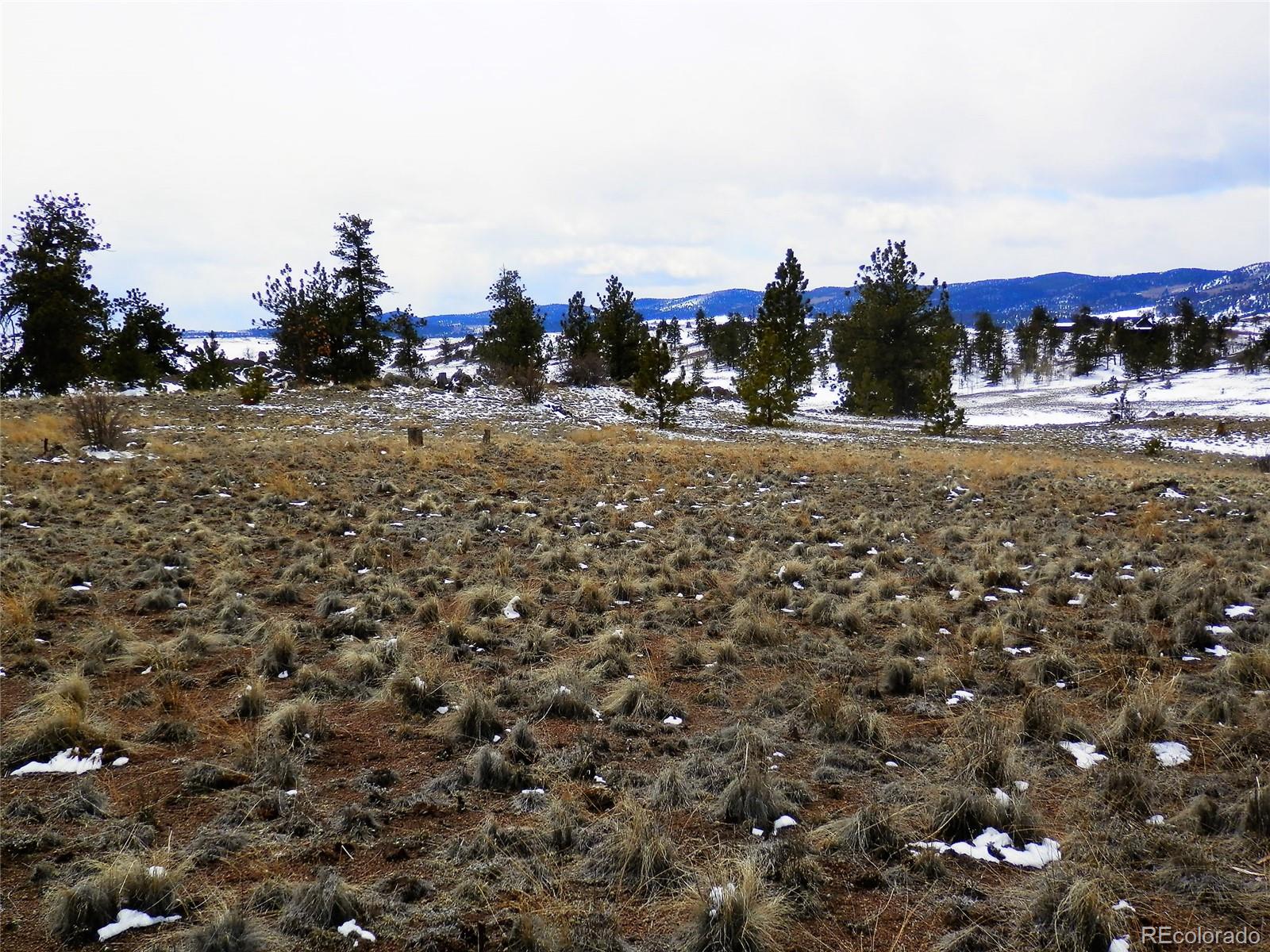 930 Pack Saddle Road Hartsel, CO 80449 - Photo 8 of 13 Gallery Image 8