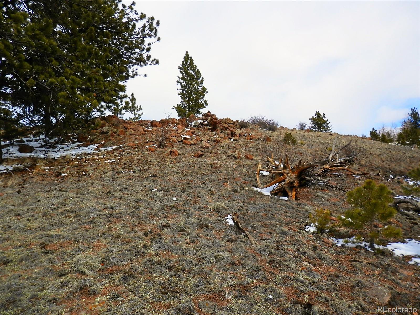 930 Pack Saddle Road Hartsel, CO 80449 - Photo 9 of 13 Gallery Image 9