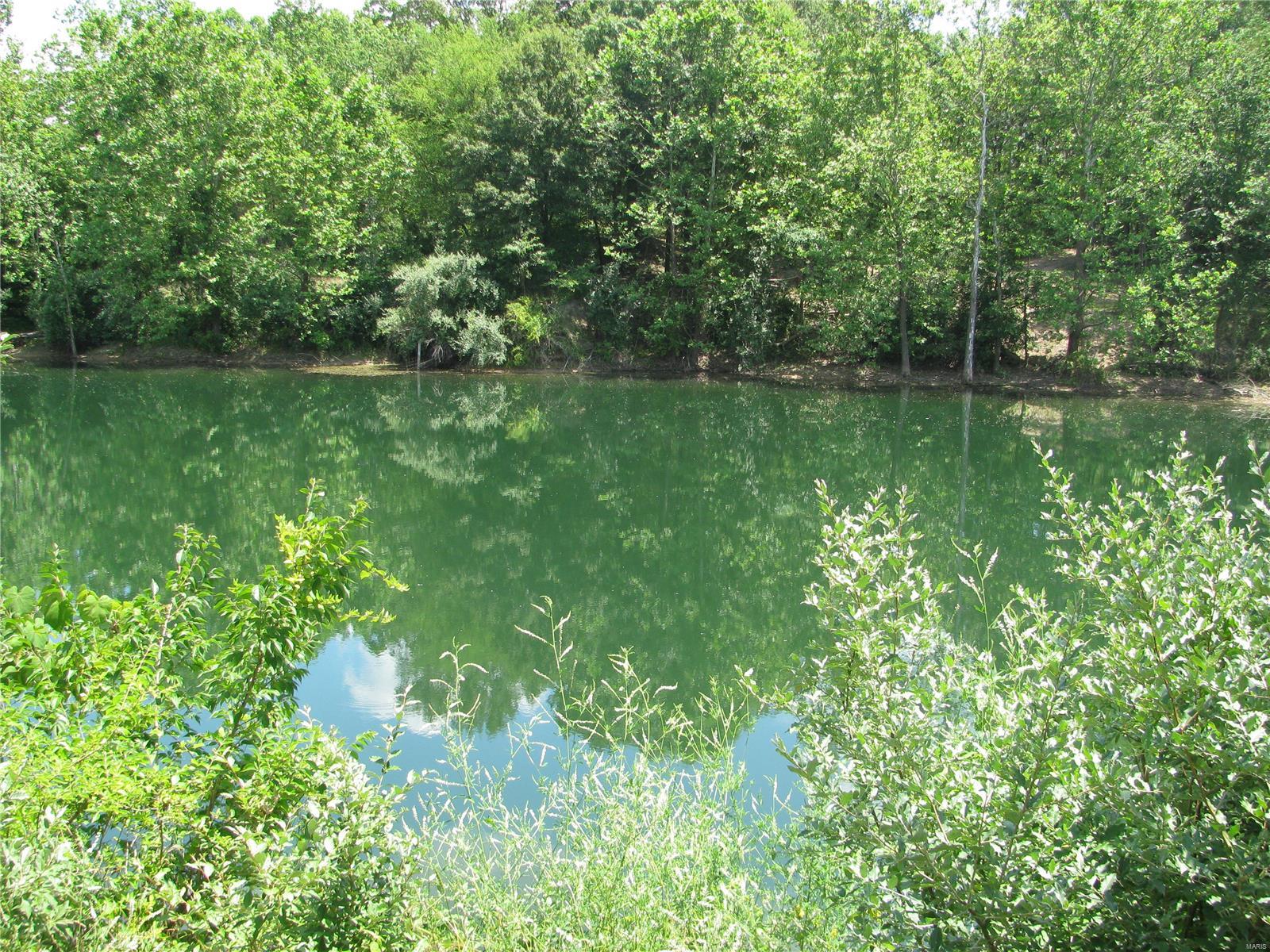0 Township Line Road De Soto, IL 62924 - Photo 1 of 8