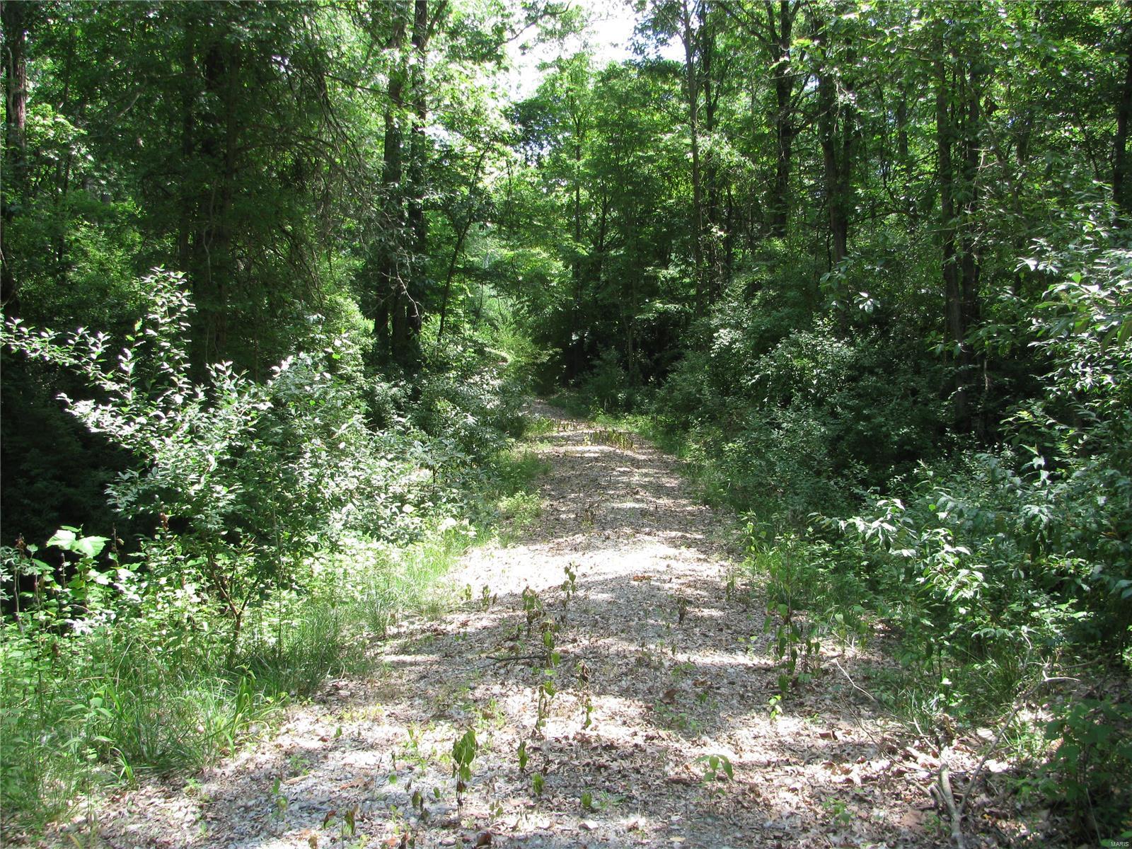 0 Township Line Road De Soto, IL 62924 - Photo 3 of 8
