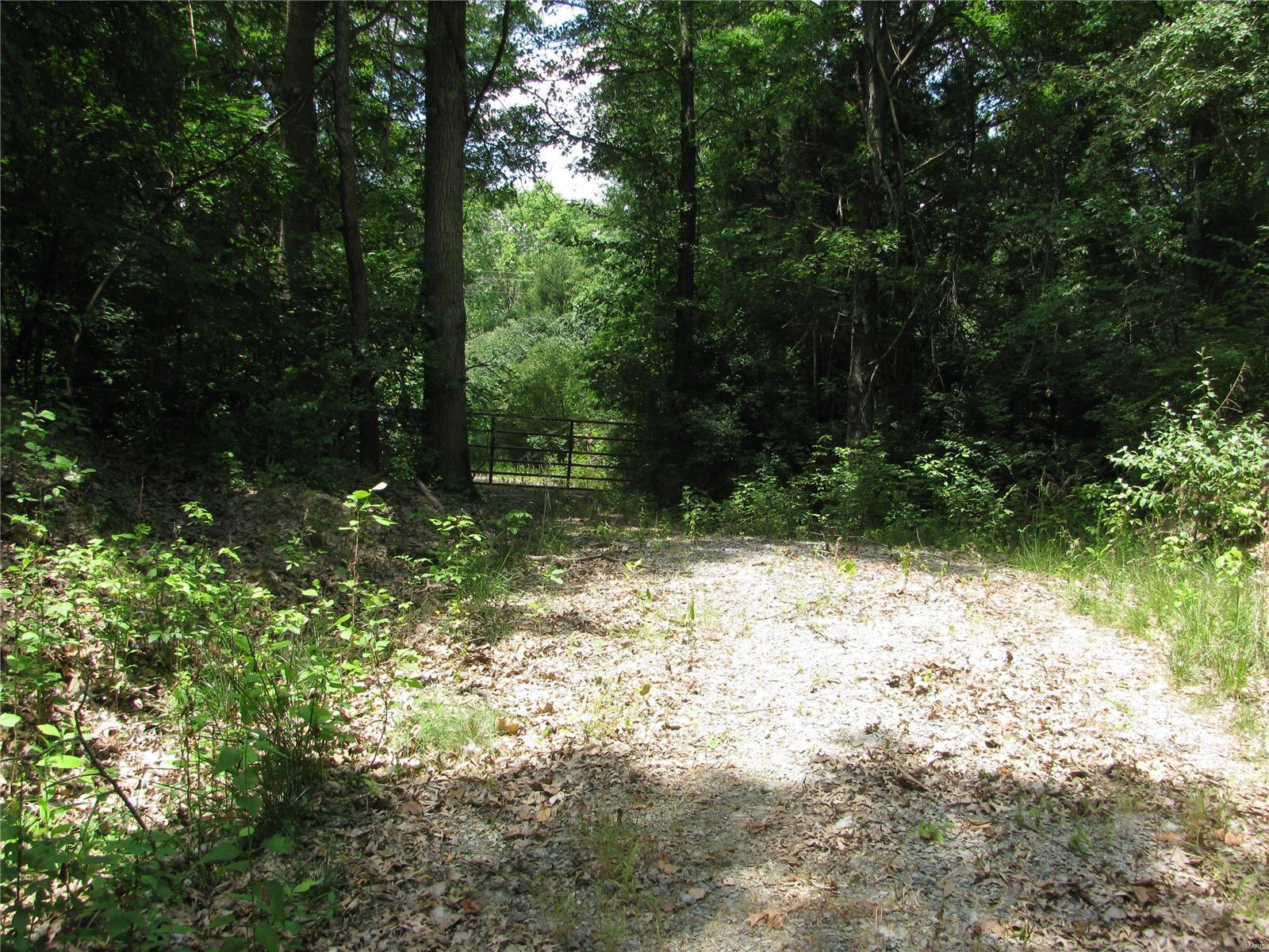 0 Township Line Road De Soto, IL 62924 - Photo 4 of 8