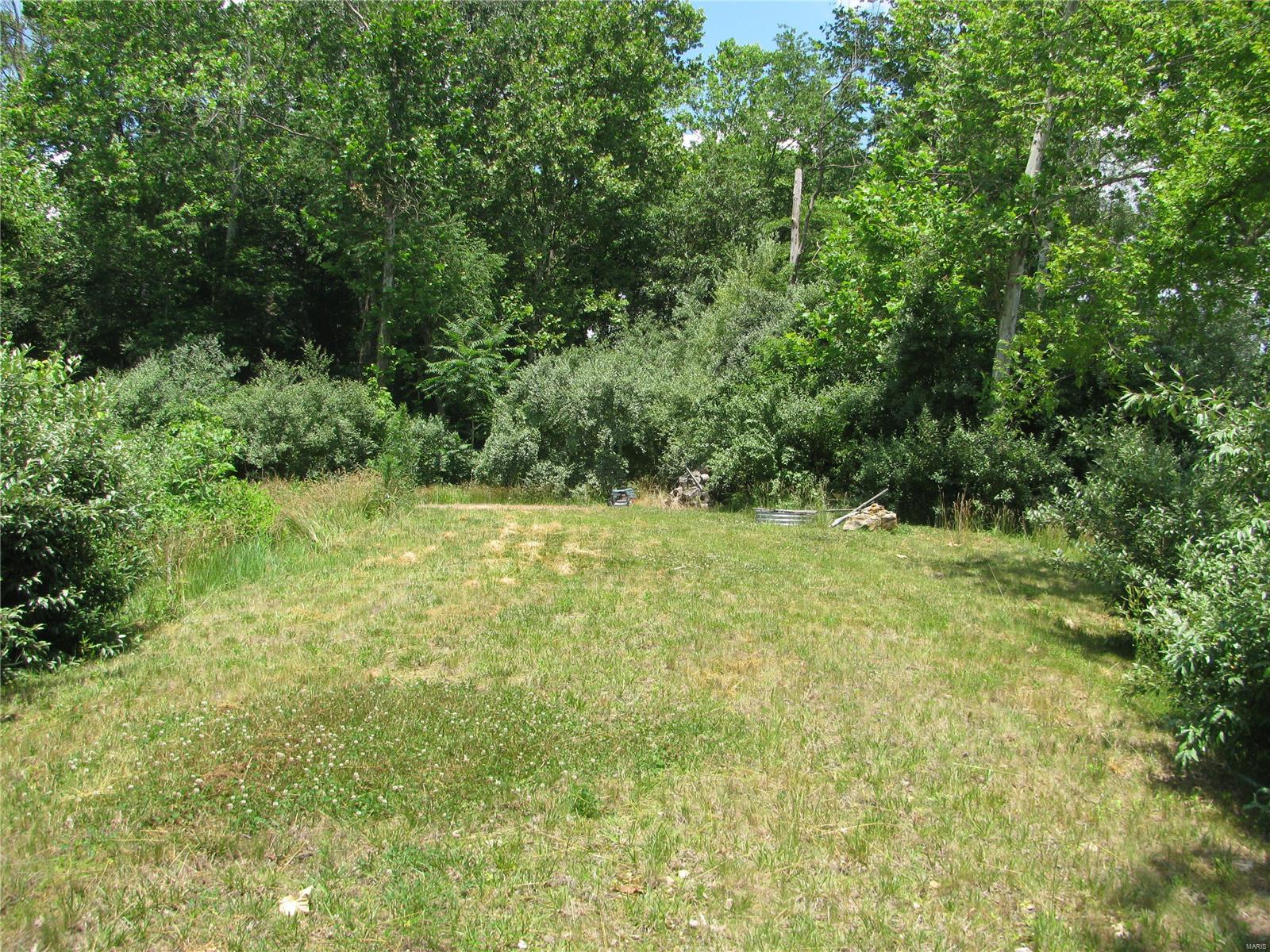 0 Township Line Road De Soto, IL 62924 - Photo 5 of 8