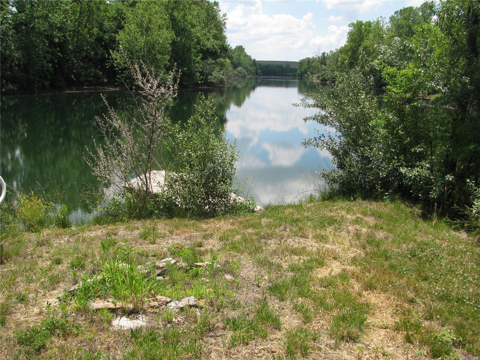 0 Township Line Road De Soto, IL 62924 - Photo 7 of 8