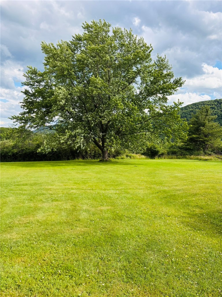 36 Walsh Road Southport, NY 14894 - Photo 30 of 36 1/2 acre view from sunroom