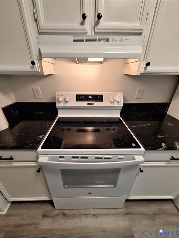1501 Regency Woods Road, Unit 303 Henrico, VA 23238 - Photo 8 of 24 a close view of stove top oven