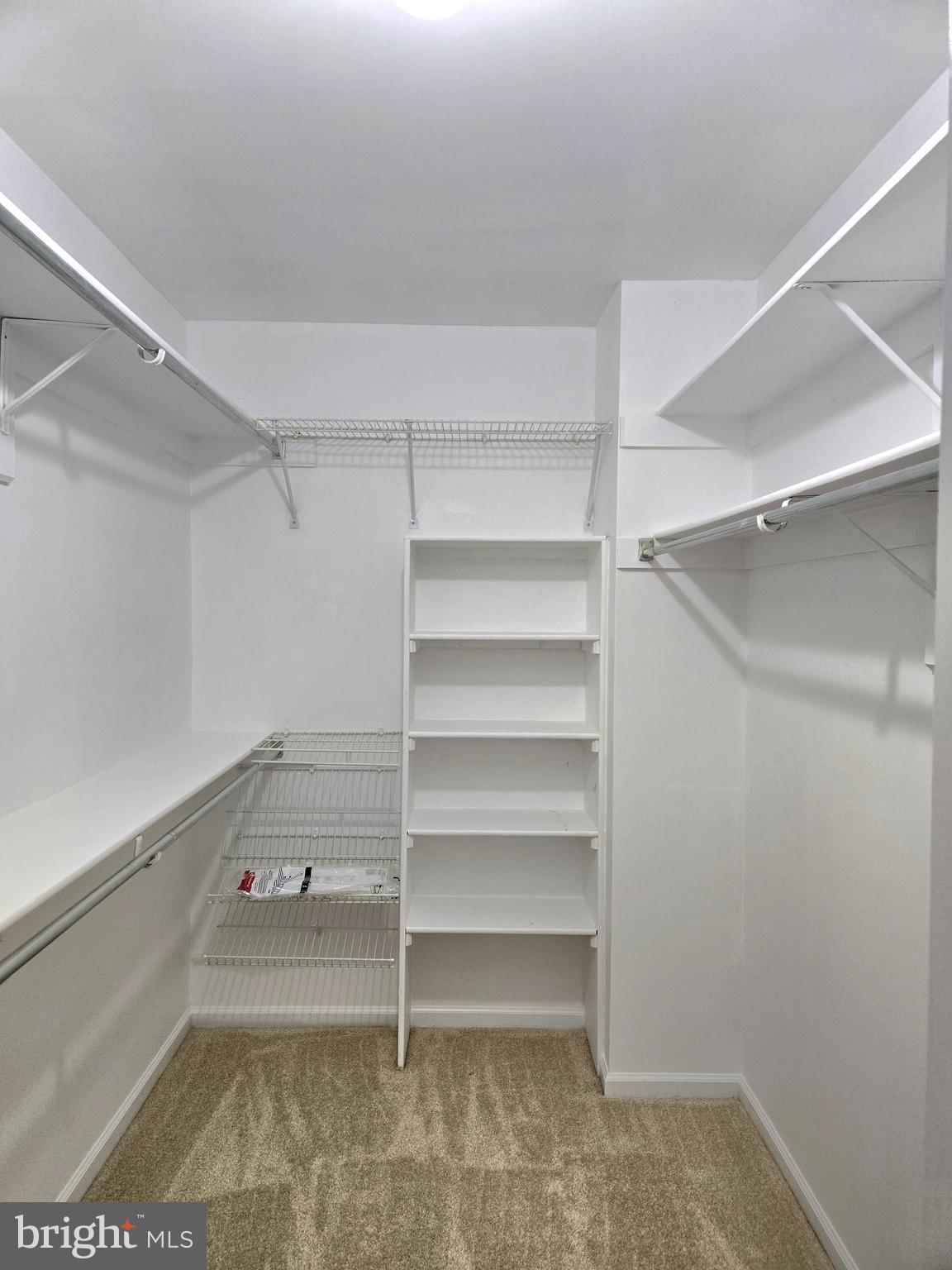 1537 Church Hill Place, Unit 1537 Reston, VA 20194 - Photo 11 of 40 a view of walk in closet with empty racks