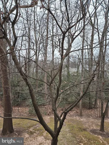 a view of a yard with trees