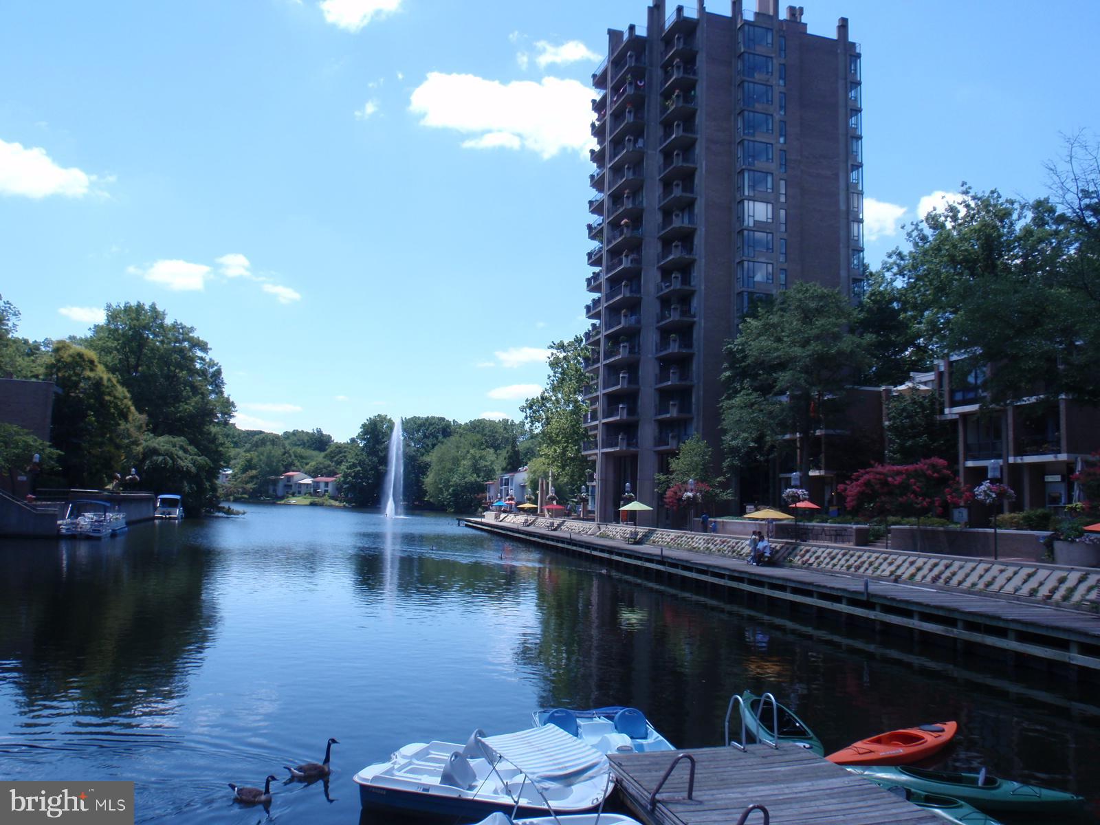 1537 Church Hill Place, Unit 1537 Reston, VA 20194 - Photo 32 of 40 a lake view covered with tall trees