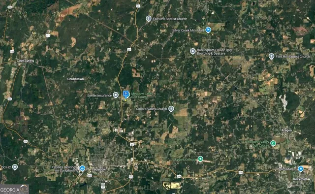 a view of a lush green forest