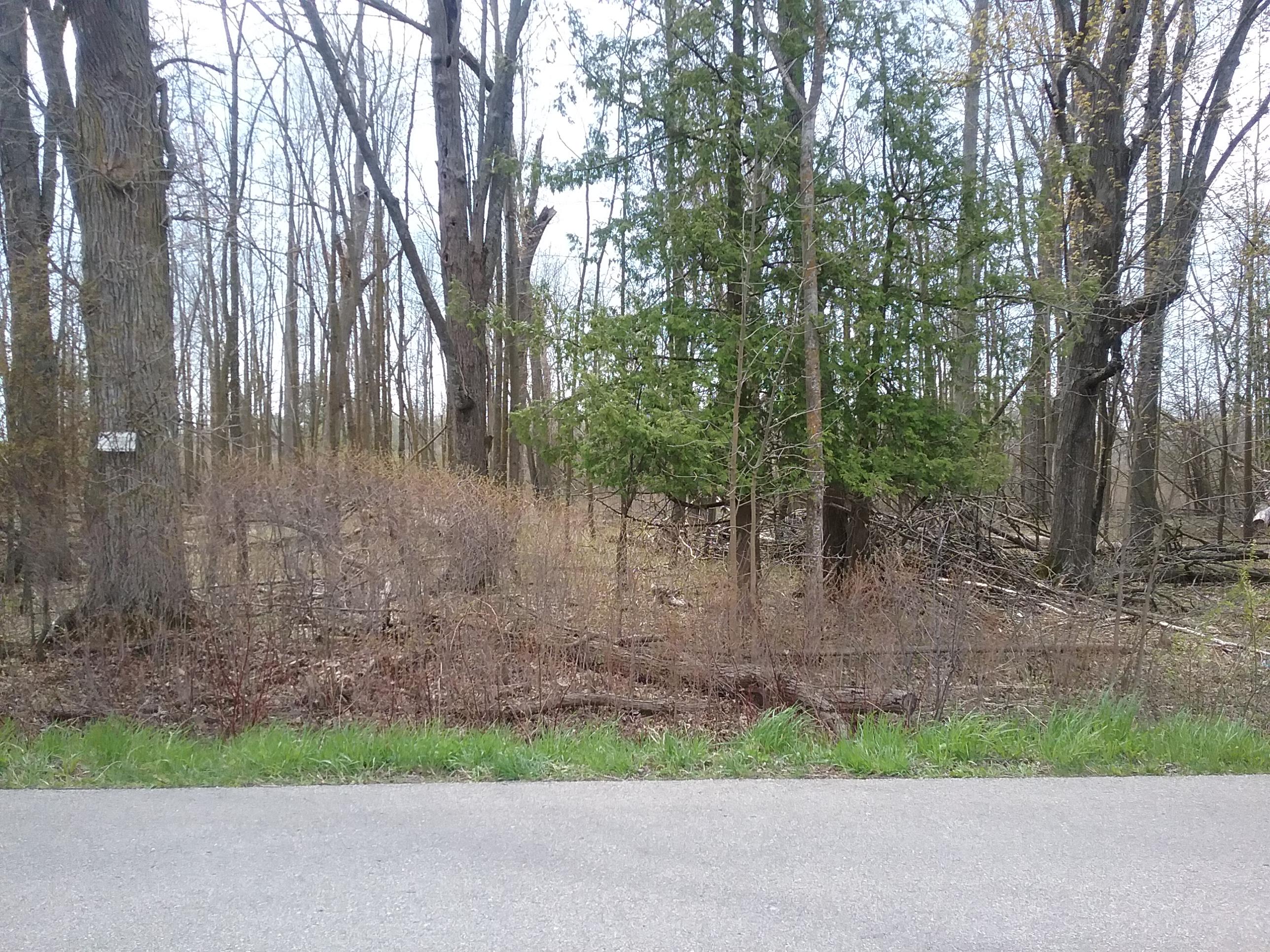 Sagatoo Road Standish, MI 48658 - Photo 3 of 10 Gallery Image 3
