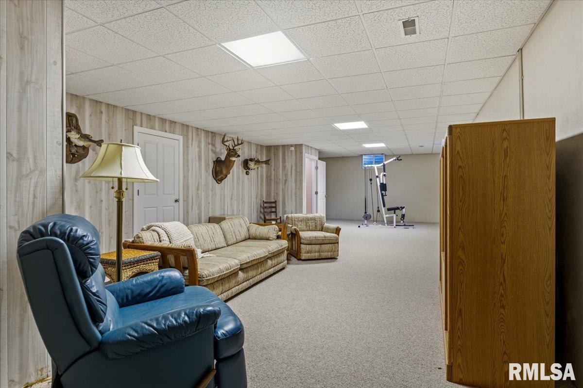5635 Wagon Ford Road Chatham, IL 62629 - Photo 42 of 65
