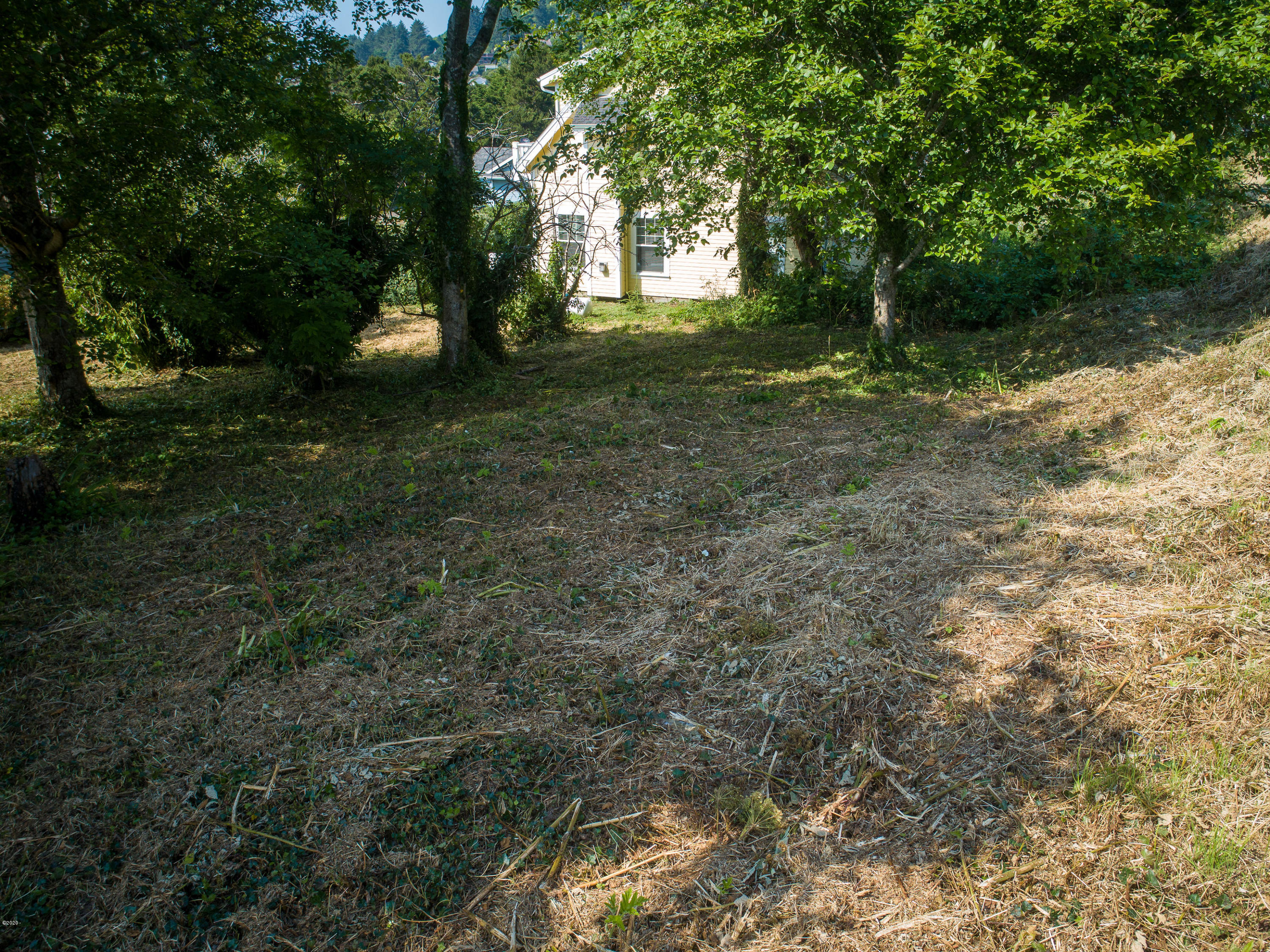 Tl3900 Tl3900 Shell Yachats, OR 97498 - Photo 7 of 23 HighRes-3
