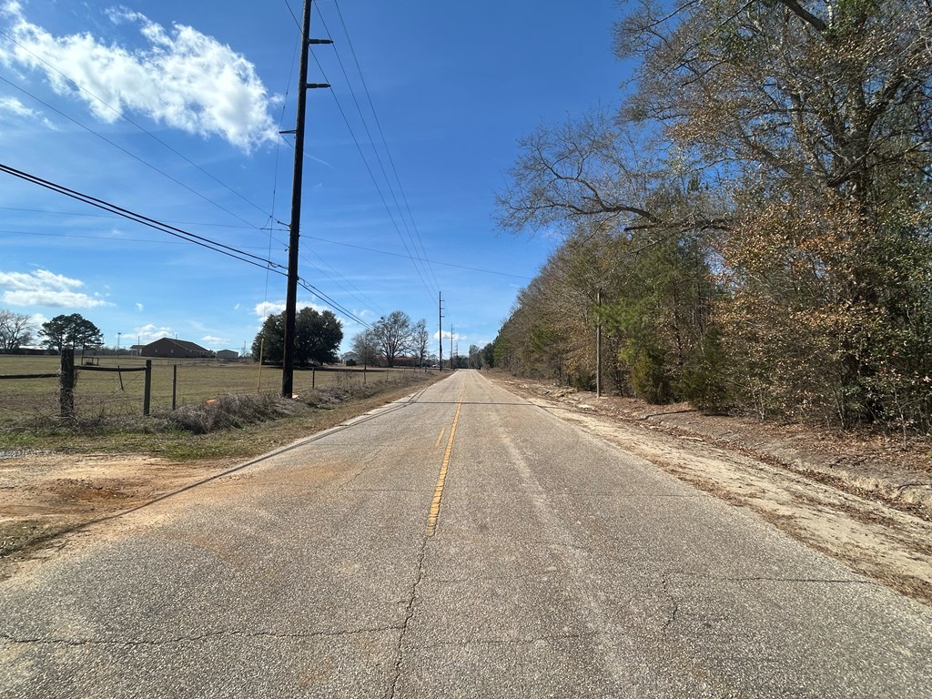 Lot 3-15 -ac Cottonwood Rd/ Phillips Road Cottonwood, AL 36320 - Photo 28 of 49