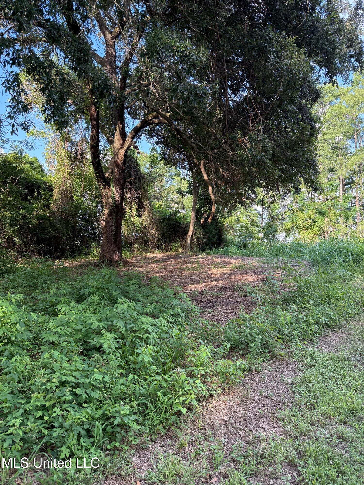 568 Hwy Ferriday La Ferriday, LA 71334 - Photo 11 of 22 IMG_9733