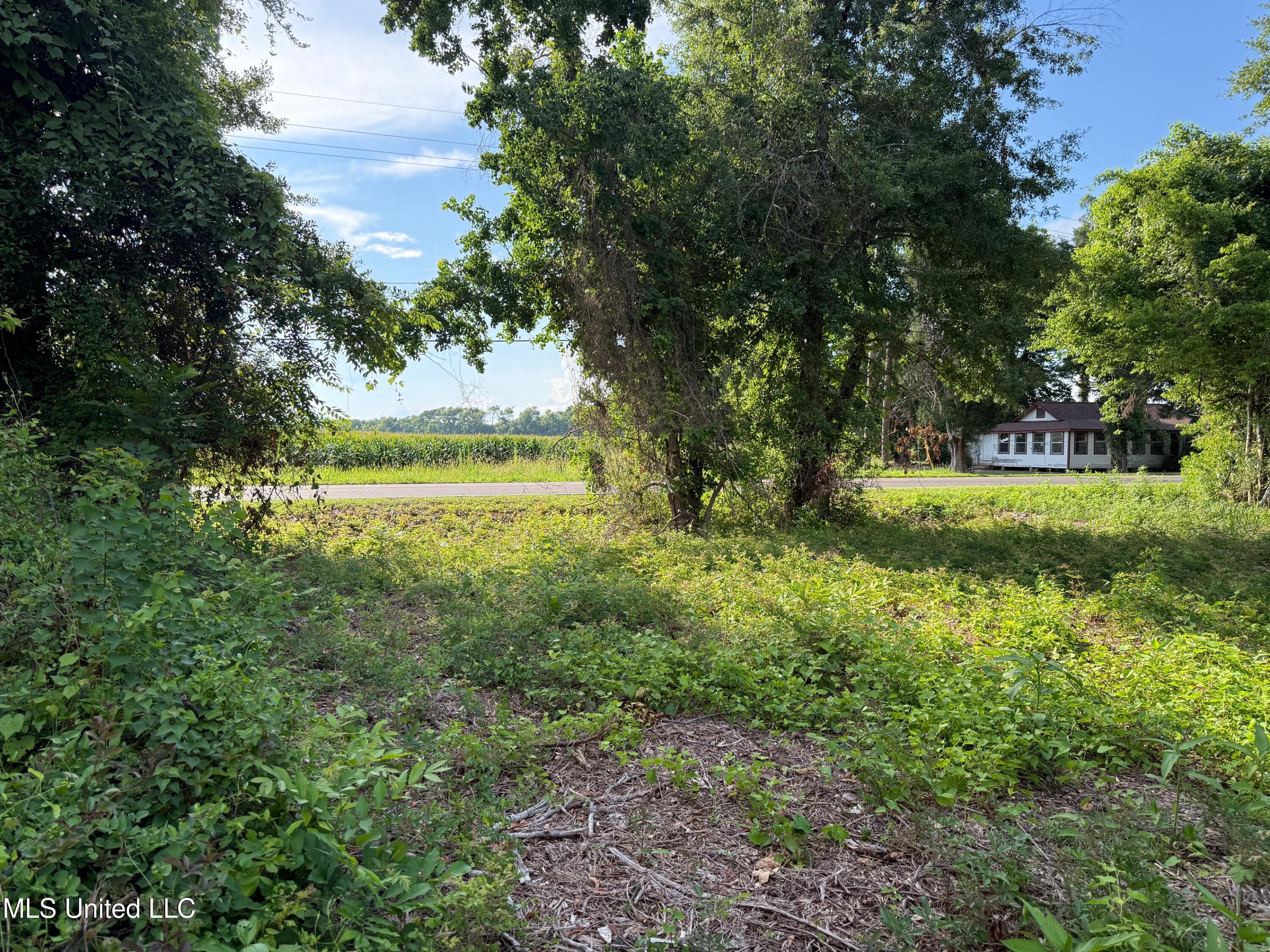 568 Hwy Ferriday La Ferriday, LA 71334 - Photo 13 of 22 IMG_9736