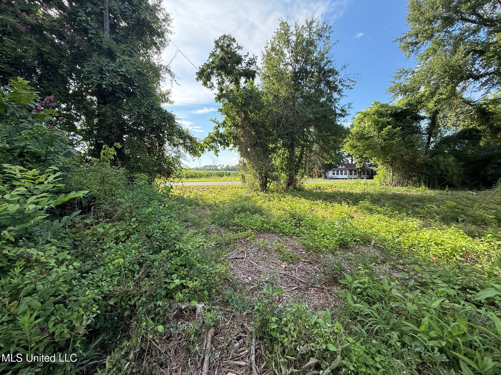 568 Hwy Ferriday La Ferriday, LA 71334 - Photo 14 of 22 IMG_9737