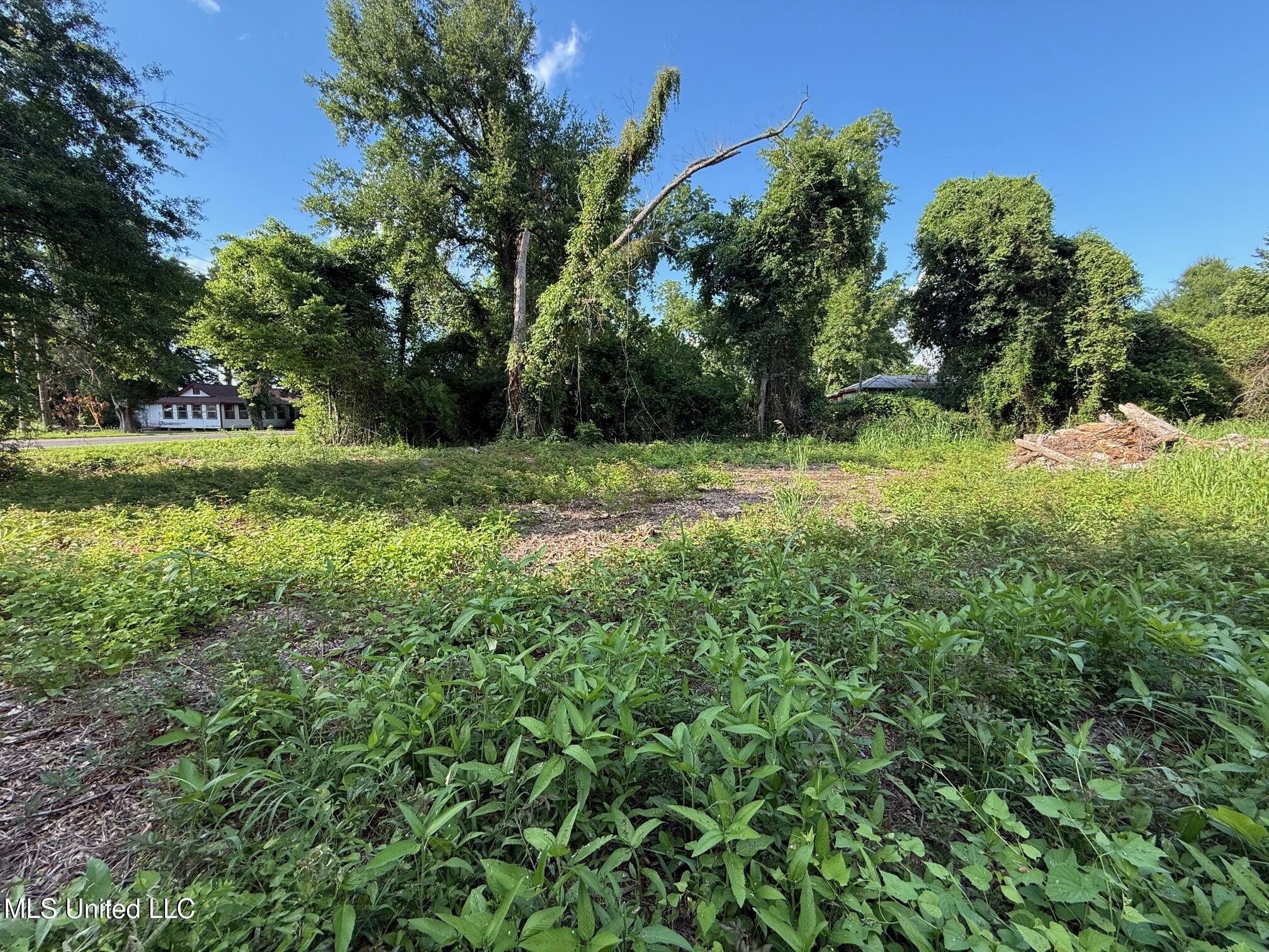 568 Hwy Ferriday La Ferriday, LA 71334 - Photo 15 of 22 IMG_9738