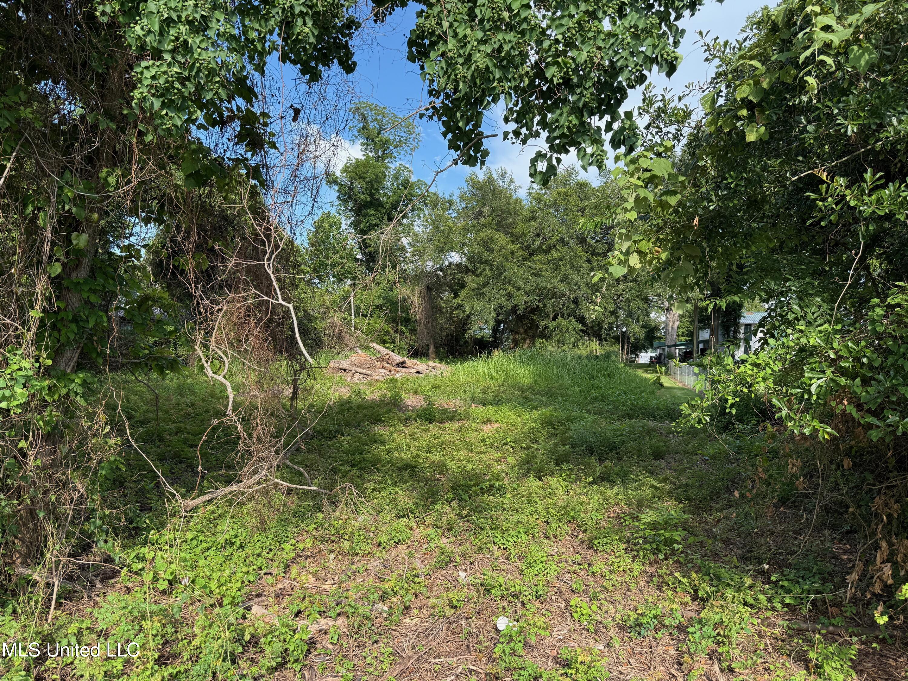 568 Hwy Ferriday La Ferriday, LA 71334 - Photo 17 of 22 IMG_9719