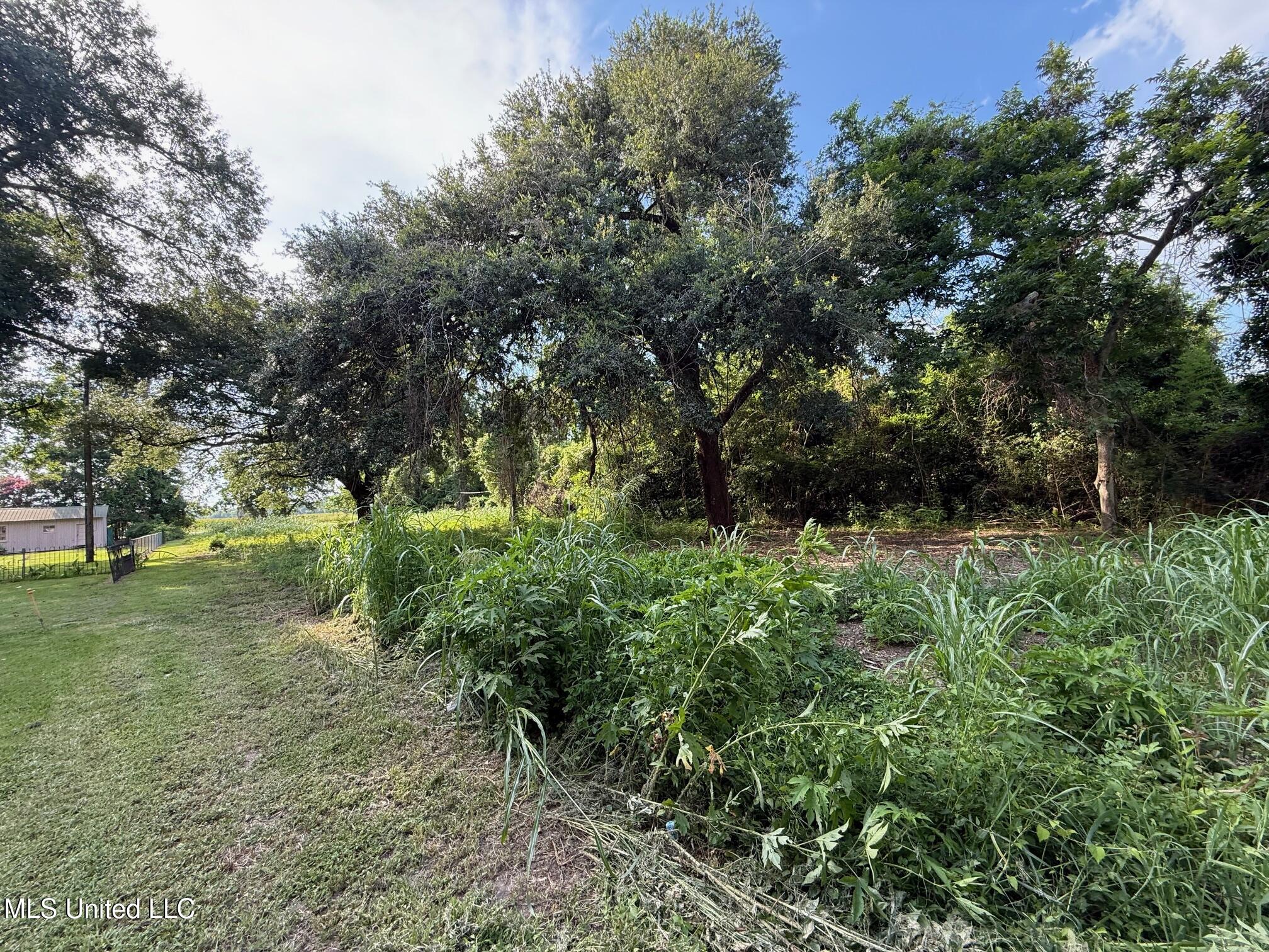 568 Hwy Ferriday La Ferriday, LA 71334 - Photo 4 of 22 IMG_9725