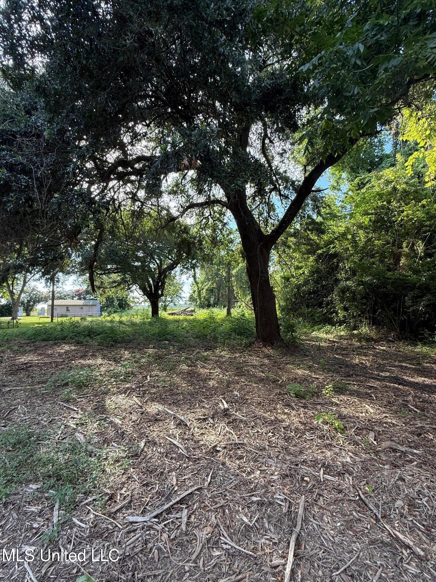 568 Hwy Ferriday La Ferriday, LA 71334 - Photo 5 of 22 IMG_9727