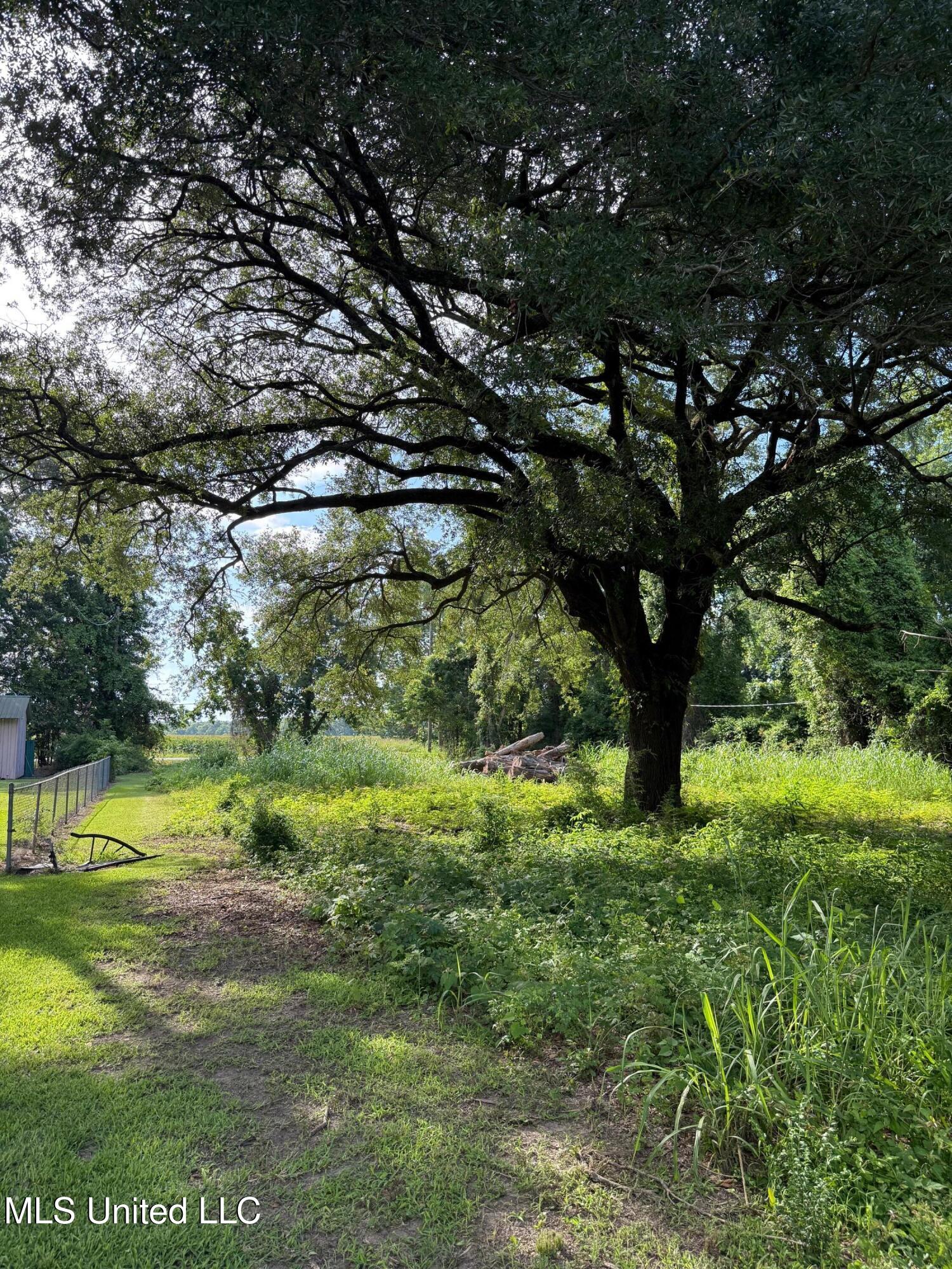 568 Hwy Ferriday La Ferriday, LA 71334 - Photo 8 of 22 IMG_9730