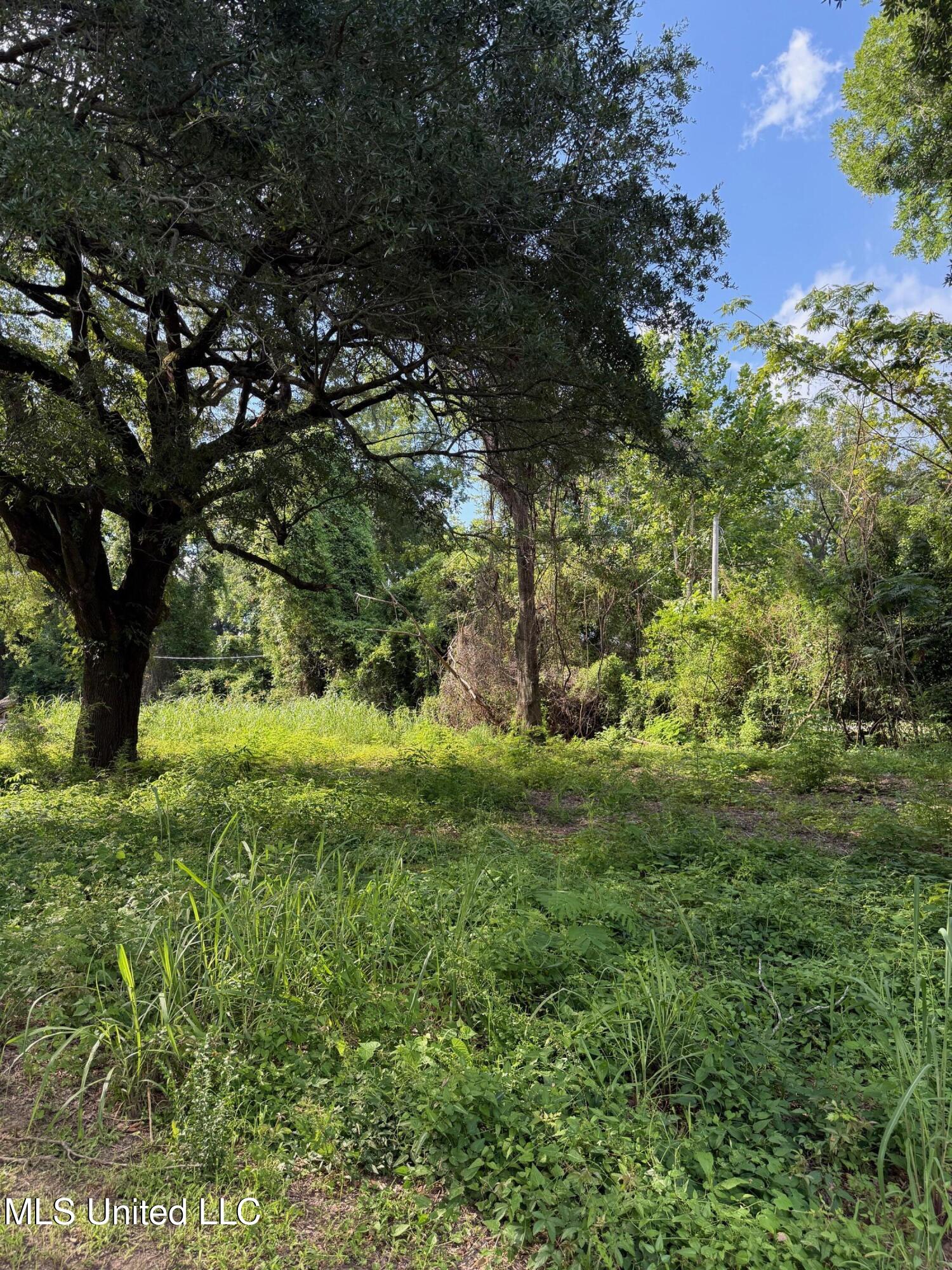 568 Hwy Ferriday La Ferriday, LA 71334 - Photo 9 of 22 IMG_9731