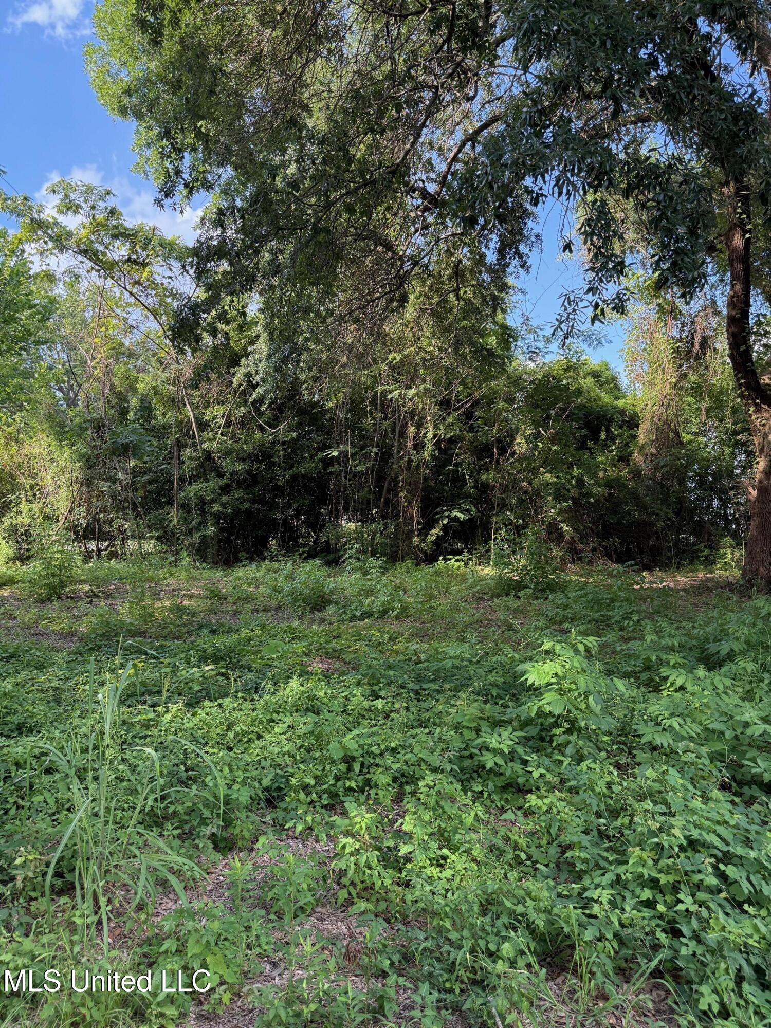 568 Hwy Ferriday La Ferriday, LA 71334 - Photo 10 of 22 IMG_9732