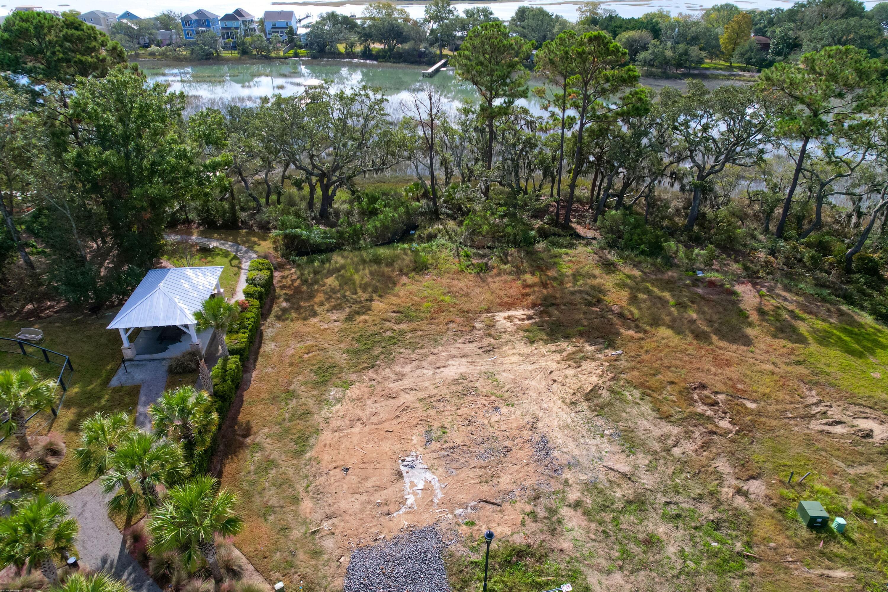 1570 Charming Nancy Road Charleston, SC 29412 - Photo 10 of 36 Gorgeous lot