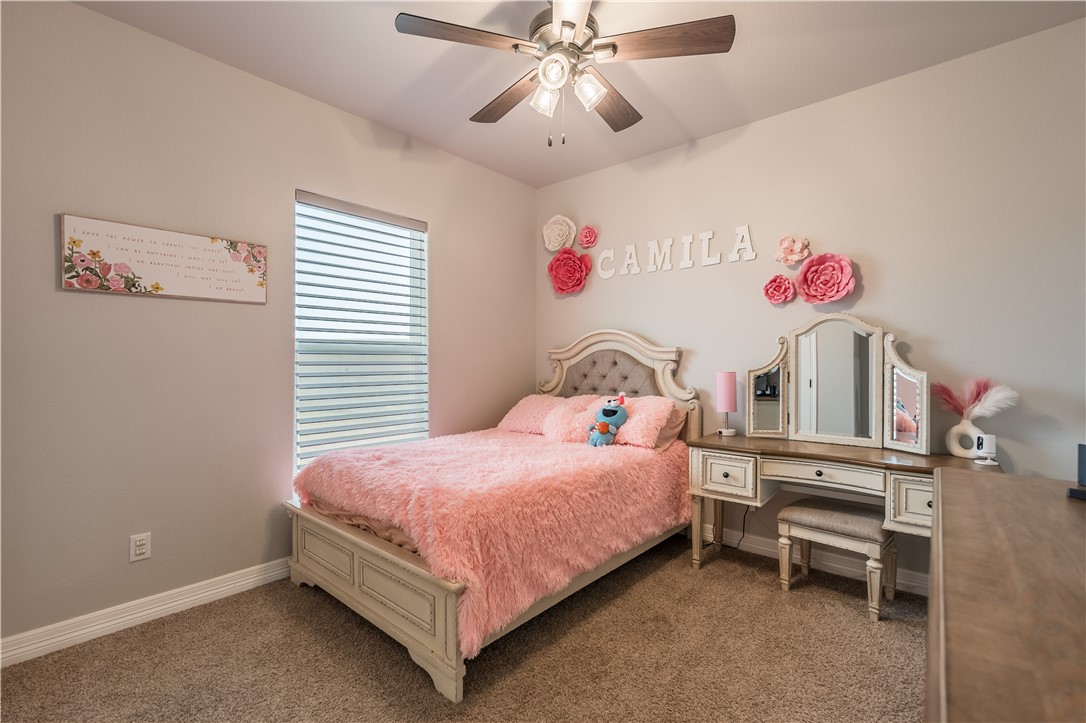 141 Dana Point Road Lorena, TX 76655 - Photo 33 of 43