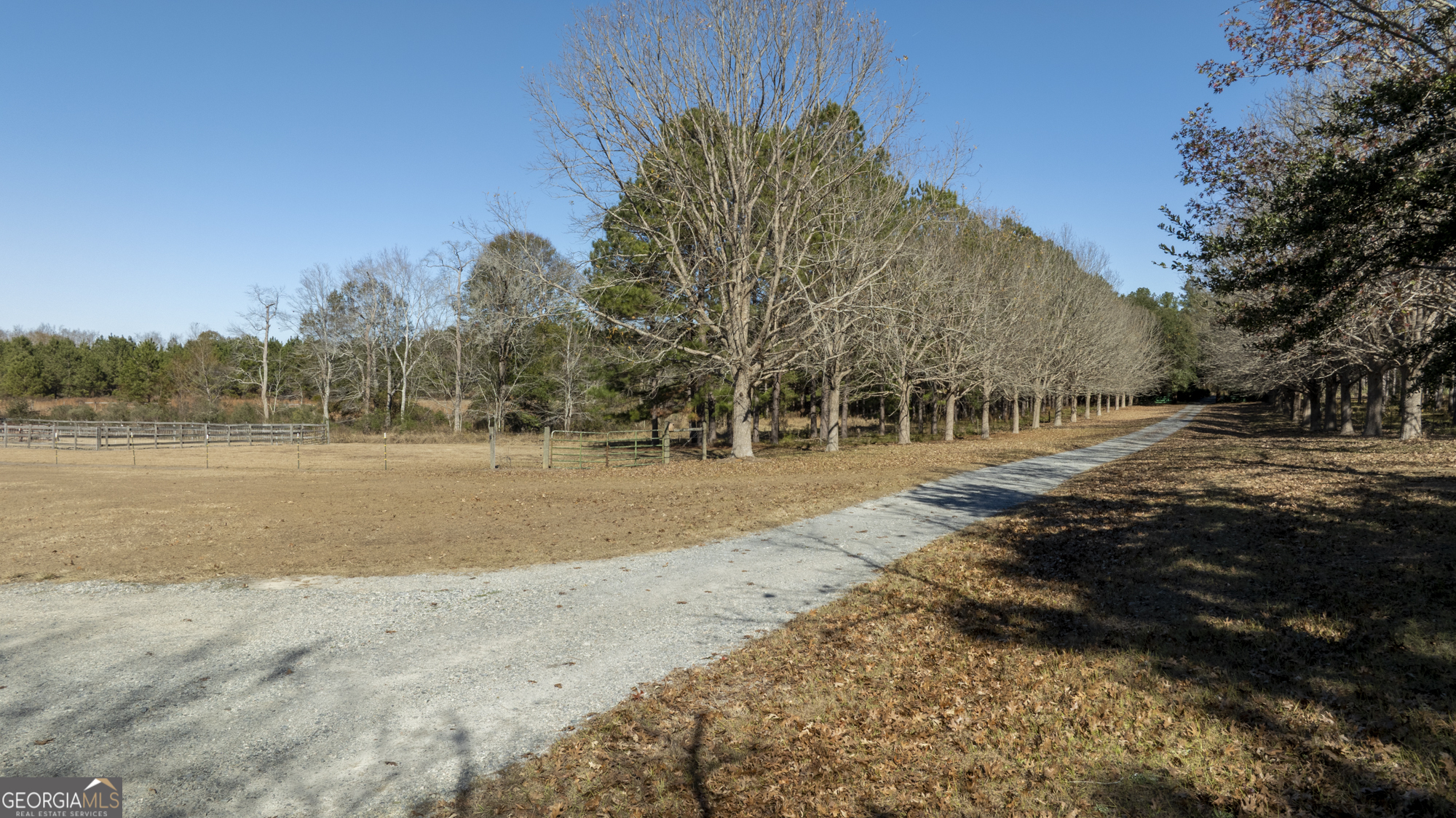 2685 Carters Bridge Road Claxton, GA 30417 - Photo 12 of 60