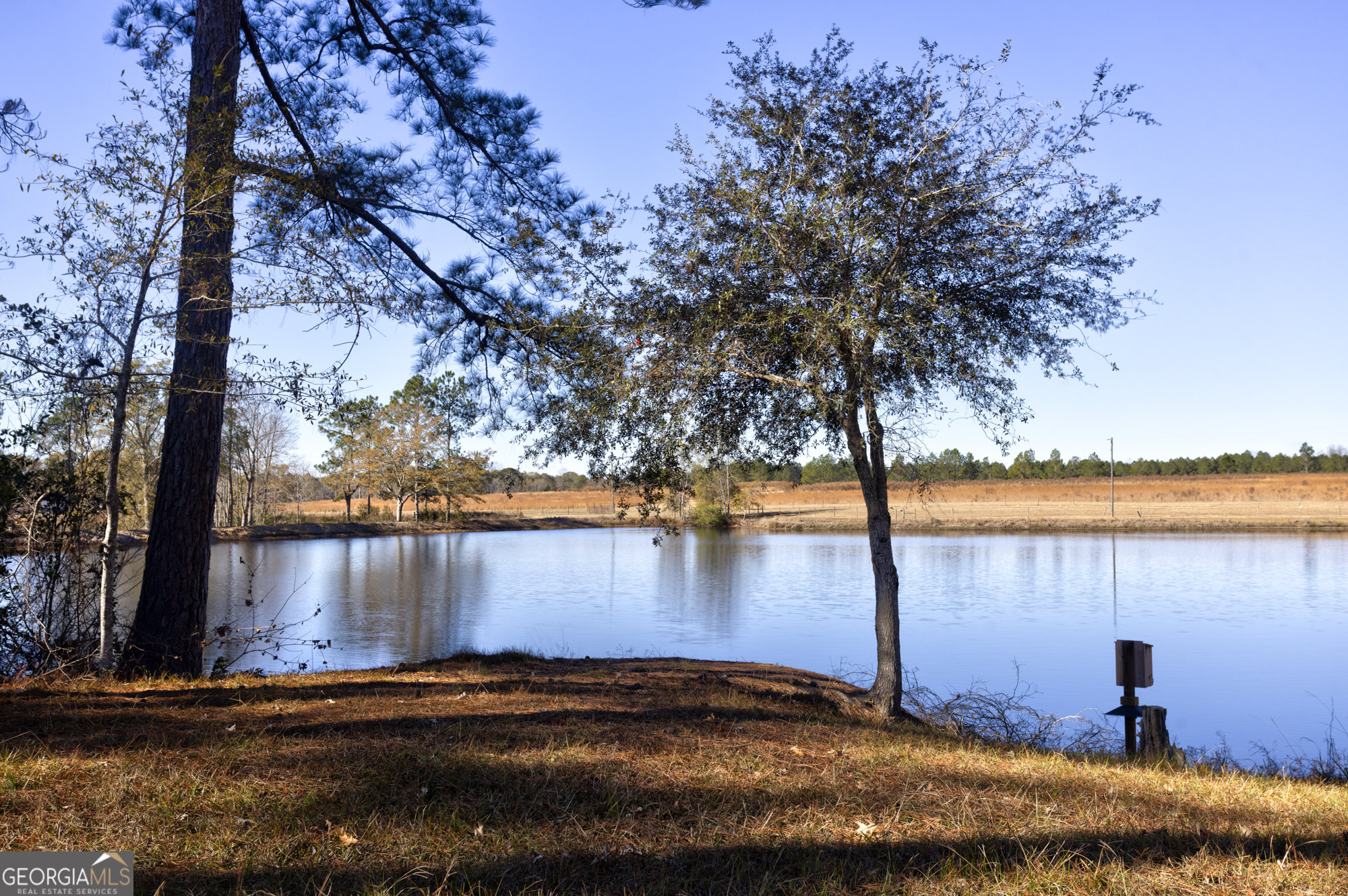 2685 Carters Bridge Road Claxton, GA 30417 - Photo 17 of 60