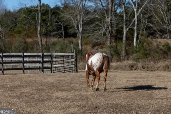 $1,699,000 | 2685 Carters Bridge Road, Claxton, GA 30417