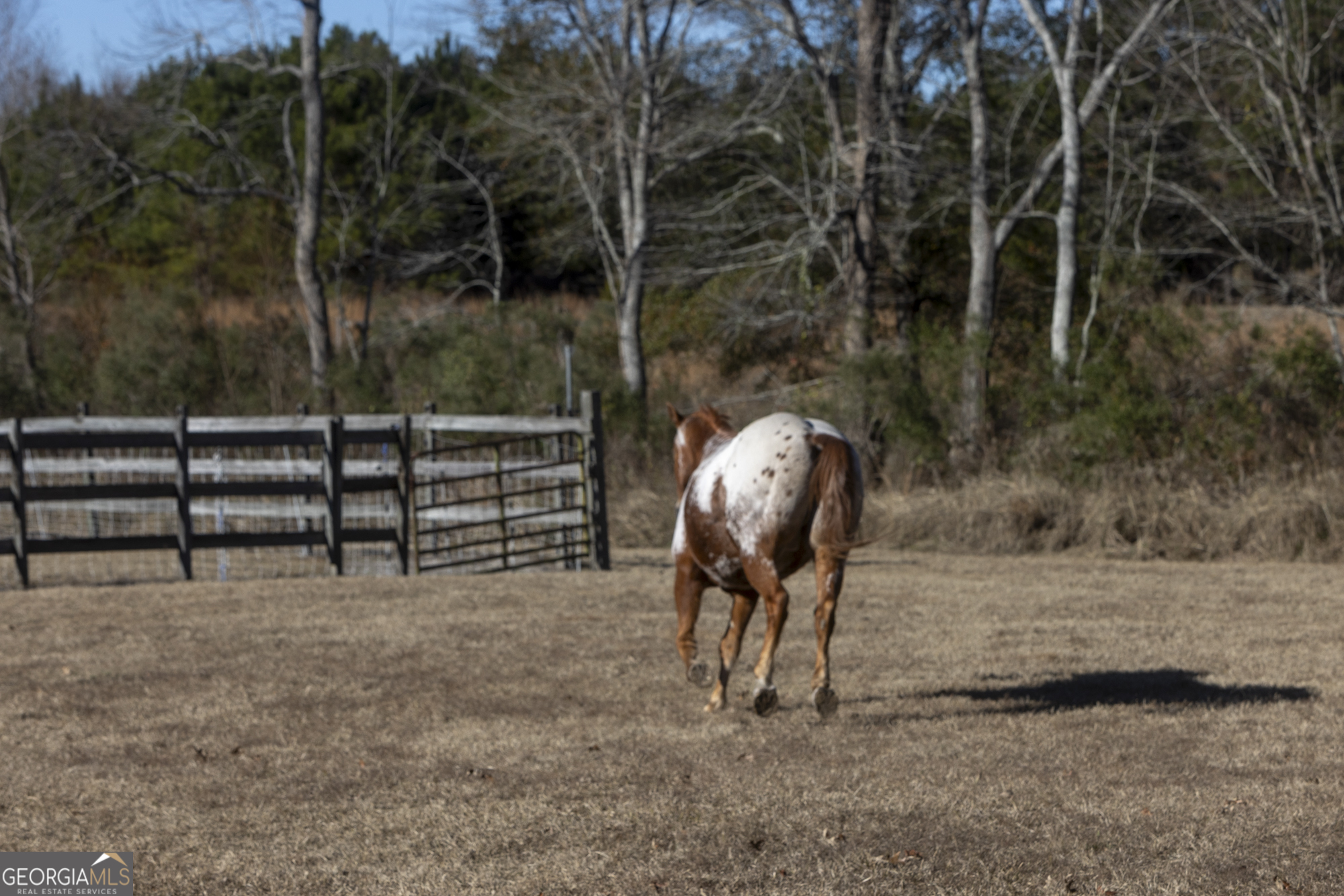 2685 Carters Bridge Road Claxton, GA 30417 - Photo 53 of 60