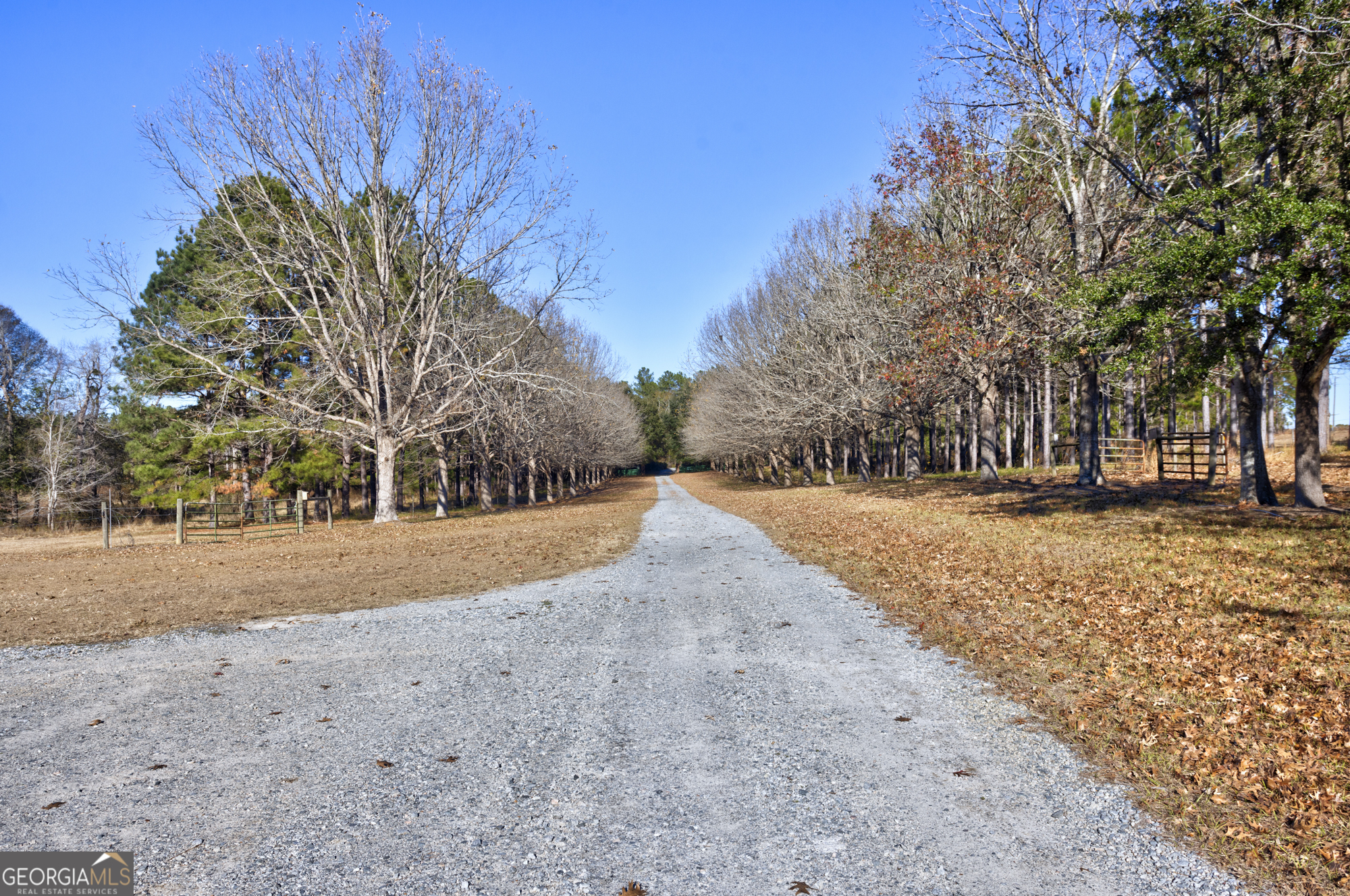 2685 Carters Bridge Road Claxton, GA 30417 - Photo 59 of 60