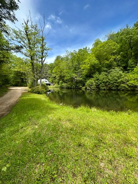 Tbd Blue Springs Road Troutdale, VA 24378 - Photo 45 of 52 Gallery Image 45