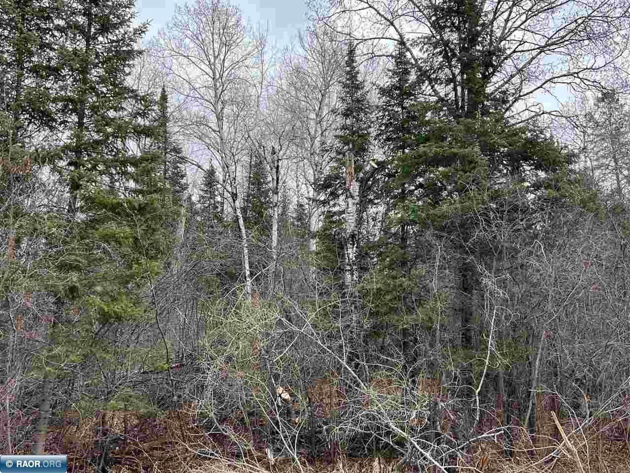 Tbd Butler Road Iron, MN 55751 - Photo 1 of 5 Gallery Image 1