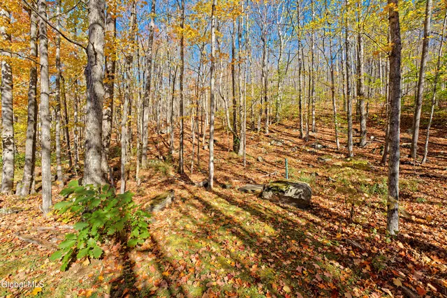 $559,900 | 168 Acorn Drive, Jewett, NY 12444