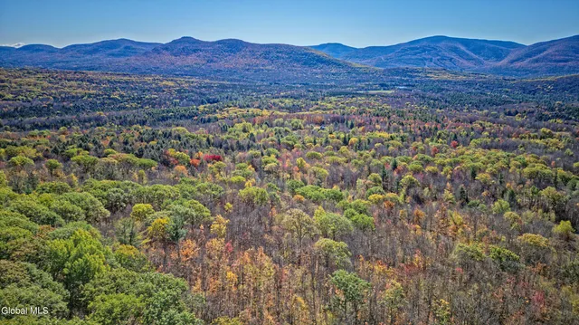 $559,900 | 168 Acorn Drive, Jewett, NY 12444